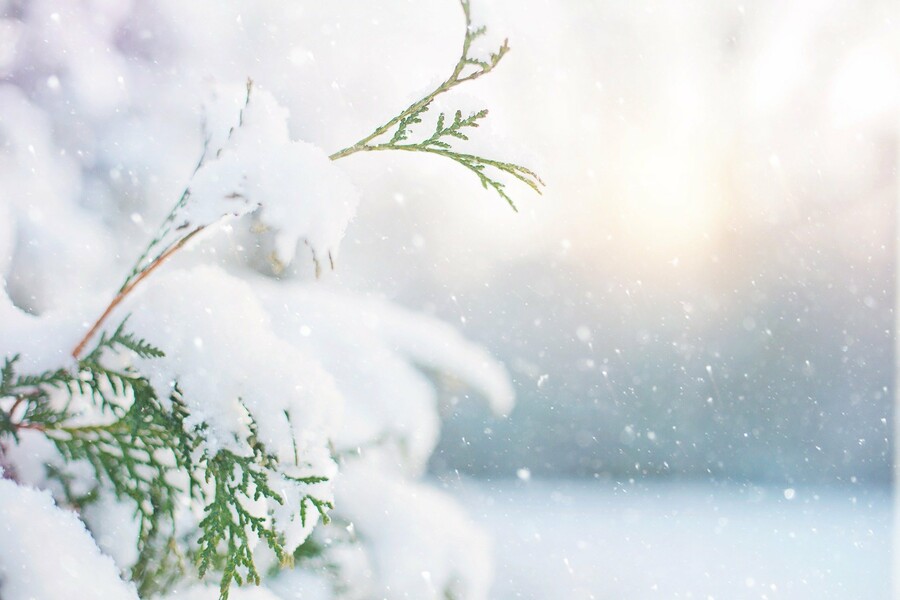 2 января в Приамурье ожидается небольшой снег