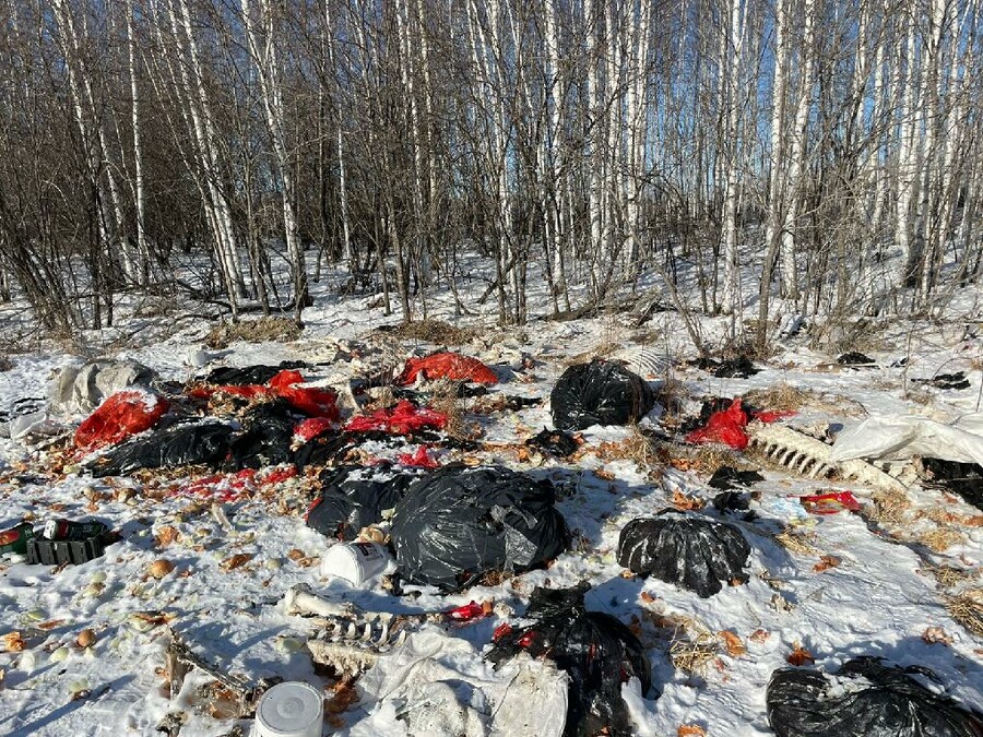 В селе Желтоярово Амурской области нашли несанкционированную свалку