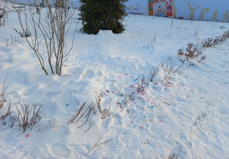Посетители ледового городка в Благовещенске вытаптывают живую изгородь