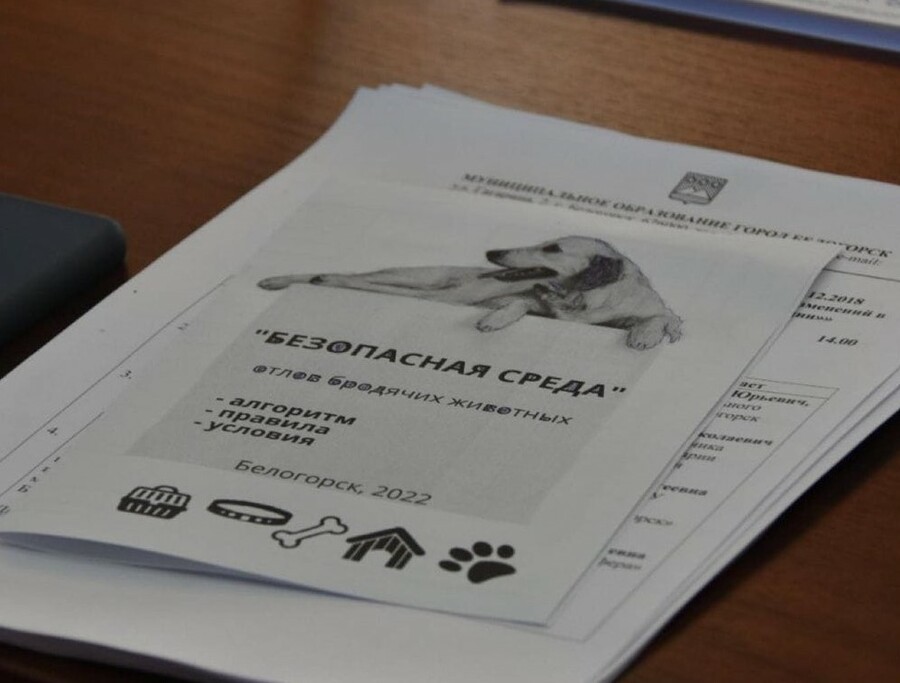 В Белогорске за возвращение пса из места передержки владельцу выставили счёт в 5 800 рублей