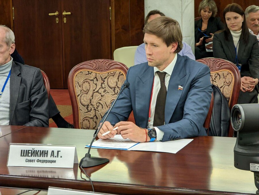 Амурский сенатор выступил за повышение эффективности госрегулирования информационной безопасности