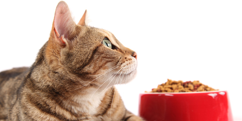 Farmina Vet Life Struvite − сухой диетический корм для кошек