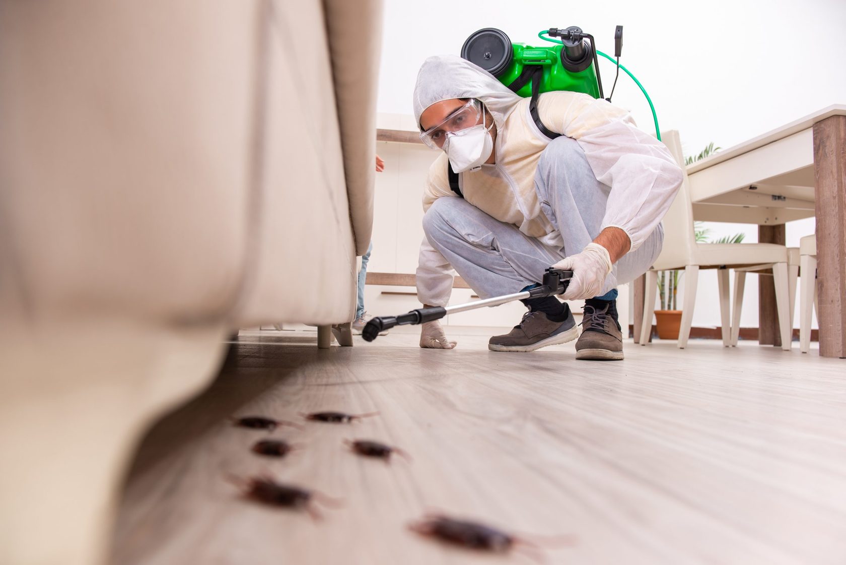 Нежеланные гости в доме: опасность тараканов и эффективная дезинсекция