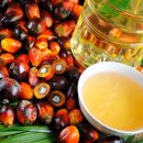 Пальмовое масло: разбираемся в вопросах здоровья и выбора