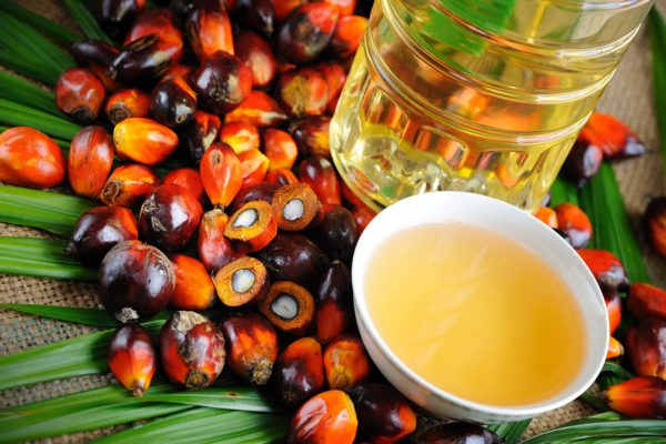 Пальмовое масло: разбираемся в вопросах здоровья и выбора